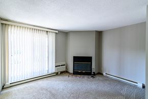 Winnipeg apartment for rent - fireplace