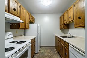 Winnipeg apartment for rent - kitchen