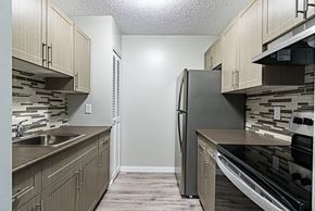 Winnipeg apartment for rent - kitchen