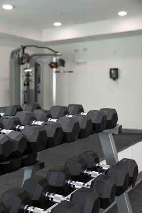 Lethbridge apartment for rent - A gym with a row of black dumbbells on a rack.