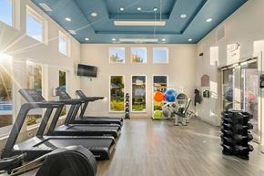 Hillsboro apartment for rent - A gym with treadmills and exercise balls.