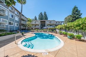 Martinez apartment for rent - A swimming pool surrounded by palm trees and apartment buildings.
