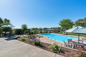 Martinez apartment for rent - A pool surrounded by a patio with chairs and umbrellas.