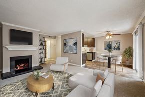 Campbell apartment for rent - A living room with a fireplace and a television.