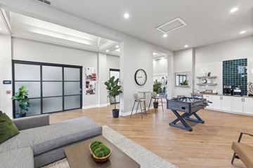Livermore apartment for rent - A modern living room with a grey sofa and a coffee table with a bowl of green plant on it.