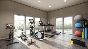Rohnert Park apartment for rent - A well-equipped home gym with various exercise machines and equipment.