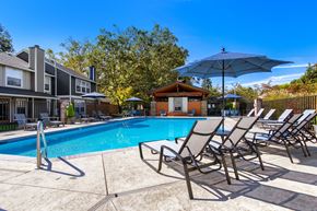 Vancouver apartment for rent - A pool surrounded by chairs and umbrellas with a building in the background.