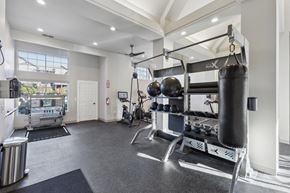 Livermore apartment for rent - A well-equipped gym with a variety of exercise equipment including a punching bag, treadmill, and weights.