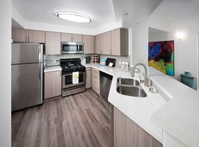 Dublin apartment for rent - A modern kitchen with a stainless steel refrigerator, oven, and sink.