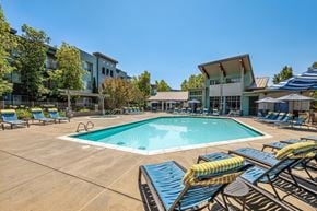 Petaluma apartment for rent - A large swimming pool surrounded by sun loungers and a building in the background.