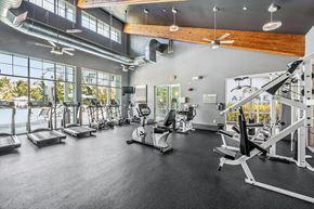 Petaluma apartment for rent - A spacious gym with treadmills, elliptical machines, and other exercise equipment.