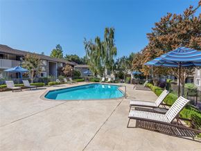 Cupertino apartment for rent - A pool surrounded by lounge chairs and umbrellas.