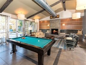 Petaluma apartment for rent - A pool table is in the middle of a room with a fireplace and a couch.