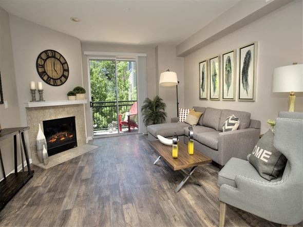 Petaluma apartment for rent - A living room with a grey couch and a fireplace.