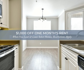 Dublin apartment for rent - a kitchen with a 5000 off one month rent when you look  love safer