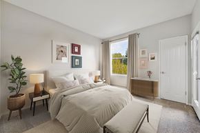 San Jose apartment for rent - A bedroom with a large bed and a potted plant.