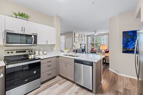 Lakewood apartment for rent - A modern kitchen with a stainless steel dishwasher and oven.