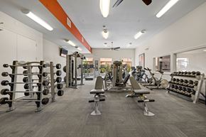 Greenwood Village apartment for rent - A gym with a variety of equipment including weights and cardio machines.