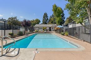 Martinez apartment for rent - A swimming pool surrounded by a fence and trees.
