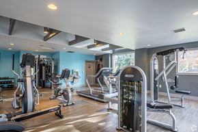 Beaverton apartment for rent - a gym with cardio machines and other exercise equipment in a building with blue walls