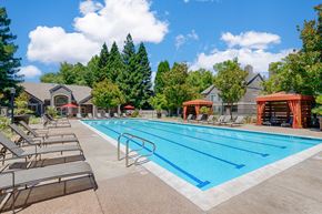 Sacramento apartment for rent - A large swimming pool surrounded by lounge chairs and trees.