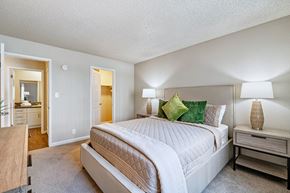 Alameda apartment for rent - A bedroom with a large bed and a nightstand with a lamp.