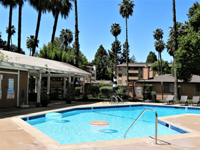 Concord apartment for rent - A pool surrounded by palm trees and a building in the background.