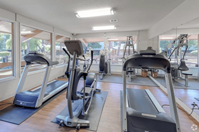 Concord apartment for rent - A gym with treadmills and elliptical machines.