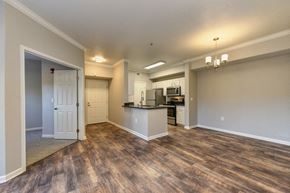Vacaville apartment for rent - A spacious living room with a kitchen in the background.