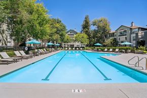 San Jose apartment for rent - A large swimming pool with lane markers and sun loungers.