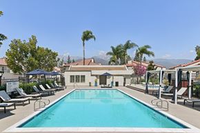 Alta Loma apartment for rent - A large swimming pool surrounded by lounge chairs and umbrellas.