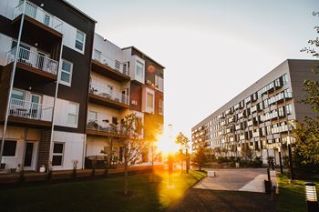 Expansive courtyard