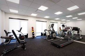 Winnipeg apartment for rent - a gym with various exercise equipment in a large room