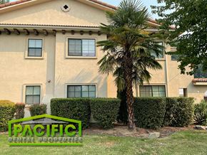 Medford apartment for rent - a building with a palm tree in front of it