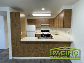 Medford apartment for rent - a renovated kitchen with wooden cabinets and a white counter top