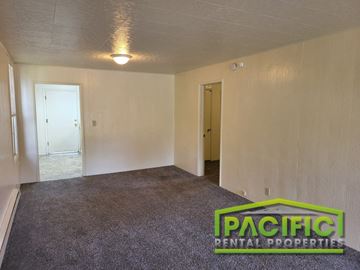 Ashland apartment for rent - the living room of a house with carpet and a light on the ceiling