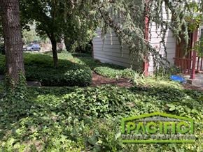 Ashland apartment for rent - a yard with a lot of weeds in front of a house