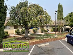 Medford apartment for rent - a building with a tree in front of it in a parking lot