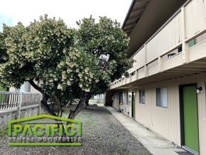 Ashland apartment for rent - a path between two buildings with trees in the middle