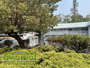 Ashland apartment for rent - a building with a tree and bushes in front of it