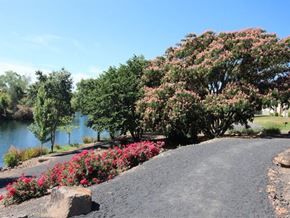 Chico apartment for rent - Lake View(1)