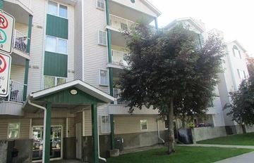 Regina condo for rent - A tree is in front of a building with a green awning.