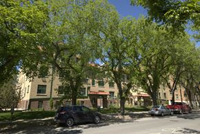Regina apartment for rent - A black car is parked on the side of a street lined with trees.
