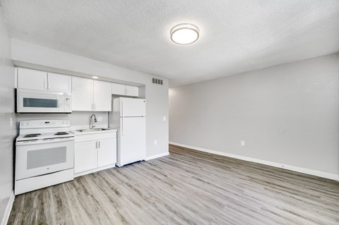 Floor plan for 1 bed, 1 bath, 550 sqft