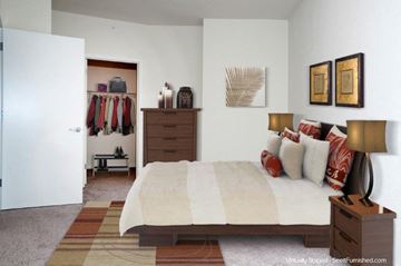 Minneapolis apartment for rent - a bedroom with a bed and a closet