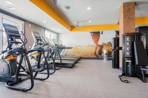 Colorado Springs apartment for rent - A gym with treadmills, elliptical machines, and a large mural on the wall.