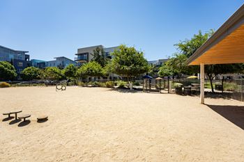 On-site dog park