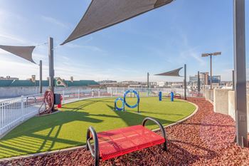 Rooftop dog park with lounge area