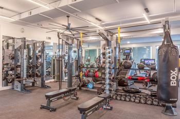 Free weights area