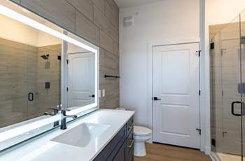 Glass-enclosed shower